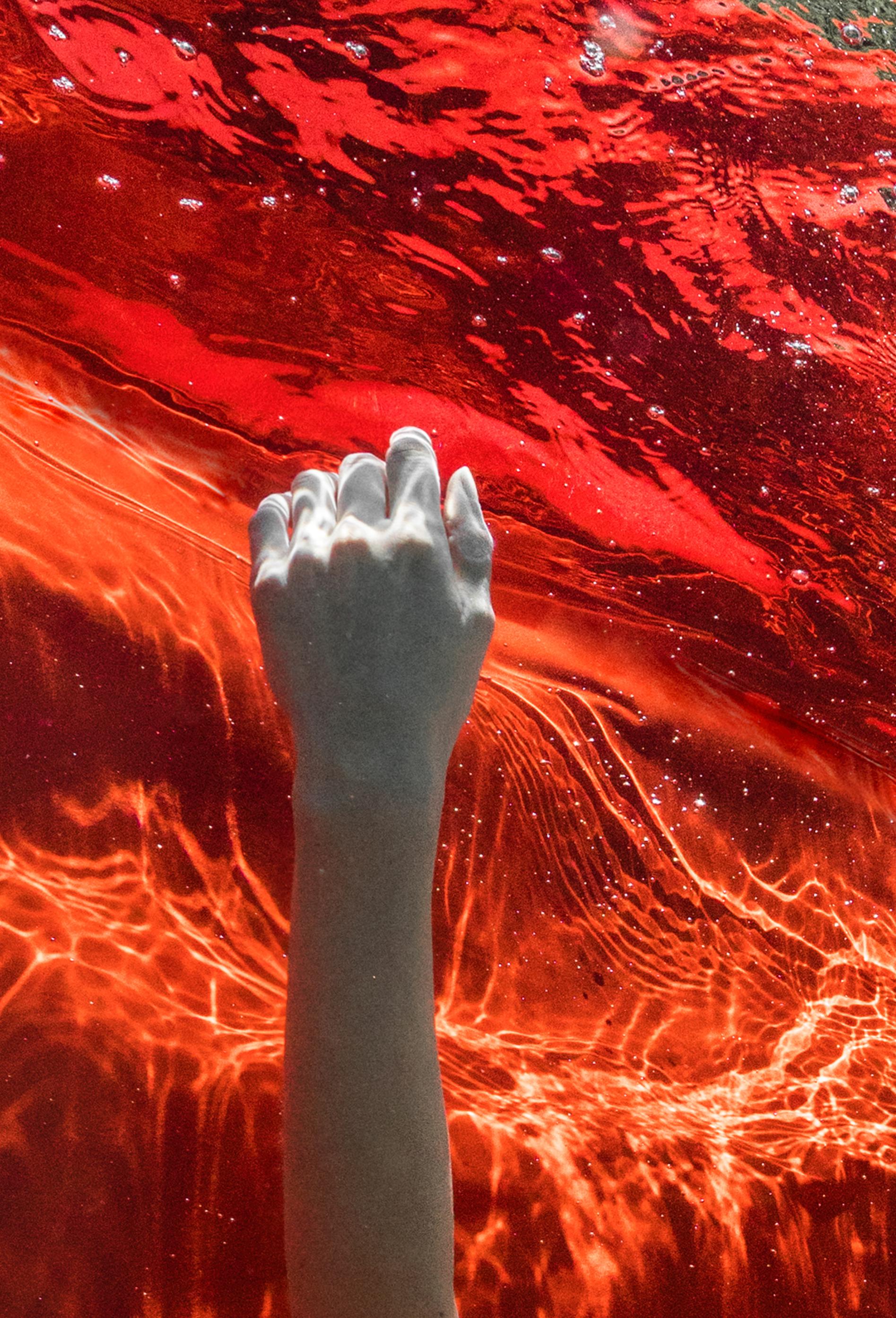 Wild Blood - photographie de nu sous-marine - impression sur aluminium 36x24