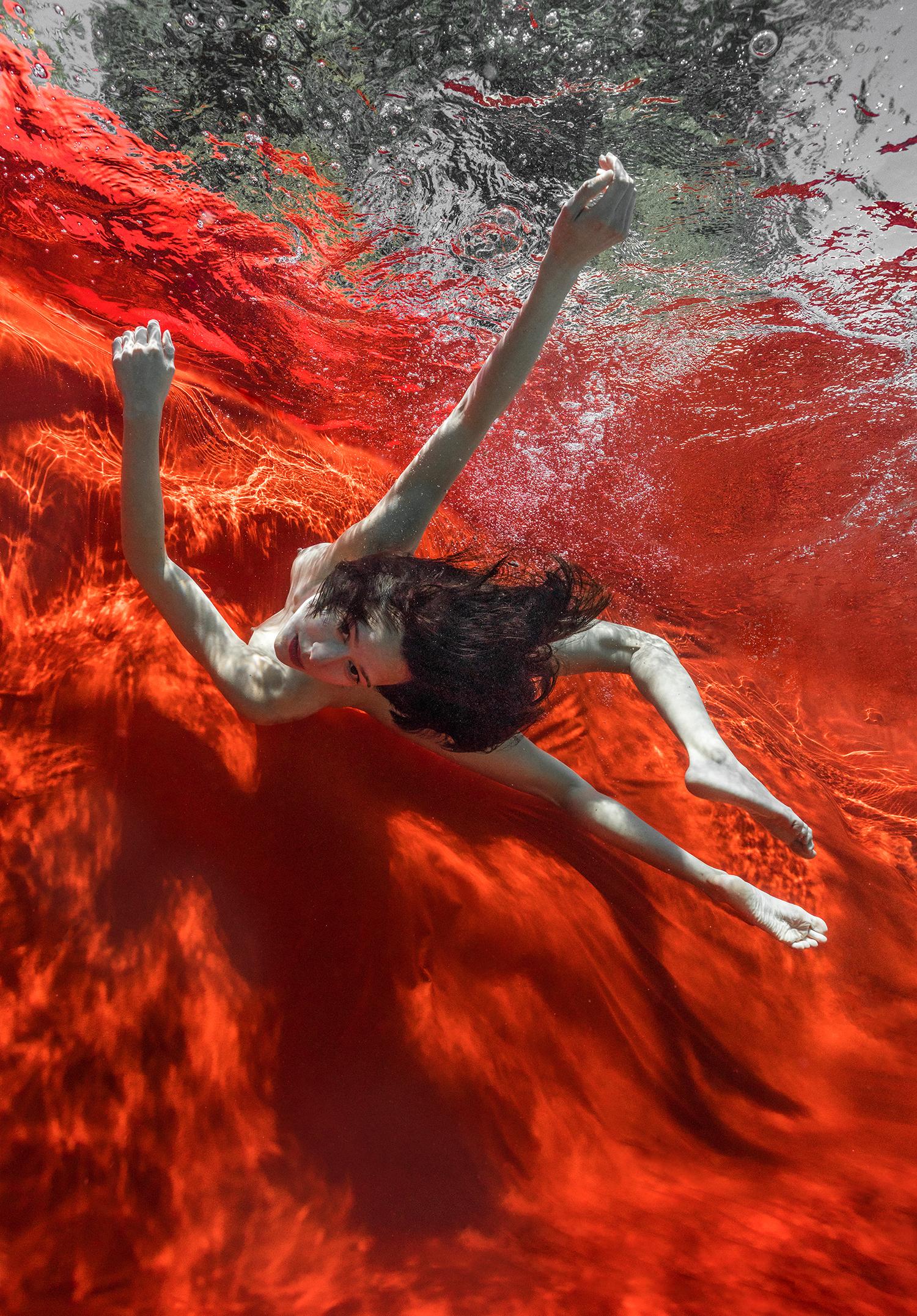 Wild Blood - Unterwasser-Nacktfotografie - Druck auf Aluminium 36x24"