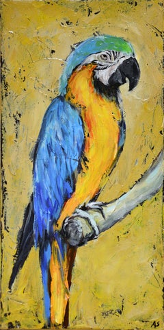 Parrot