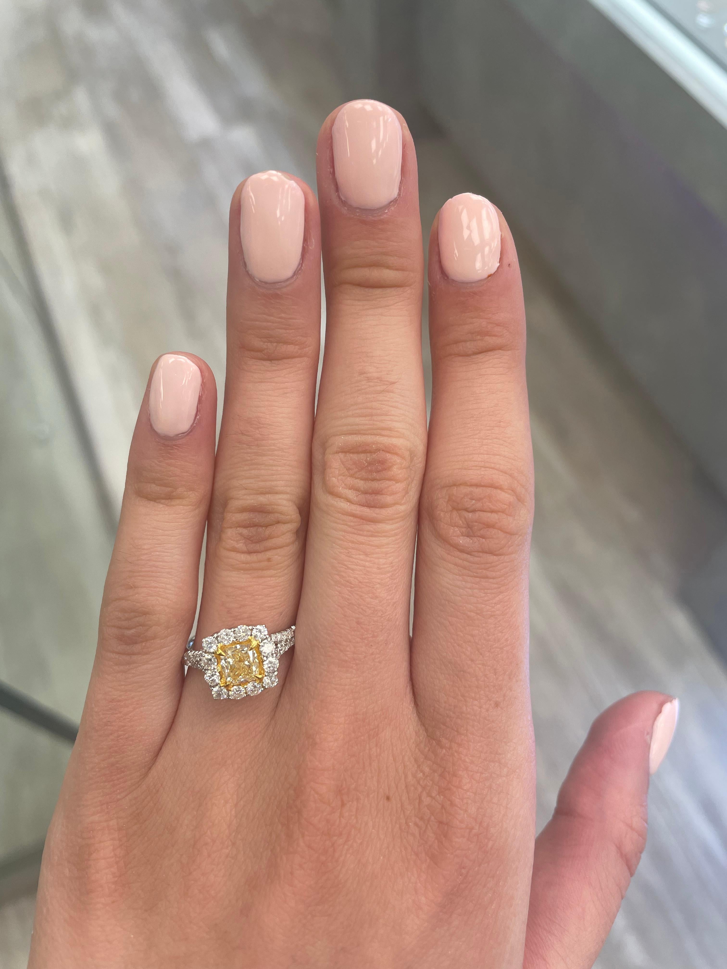 Stunning modern EGL certified yellow diamond with halo ring, two-tone 18k yellow and white gold. By Alexander Beverly Hills
1.75 carats total diamond weight.
1.01 carat cushion cut Fancy Intense Yellow color and VS1 clarity diamond, EGL graded.