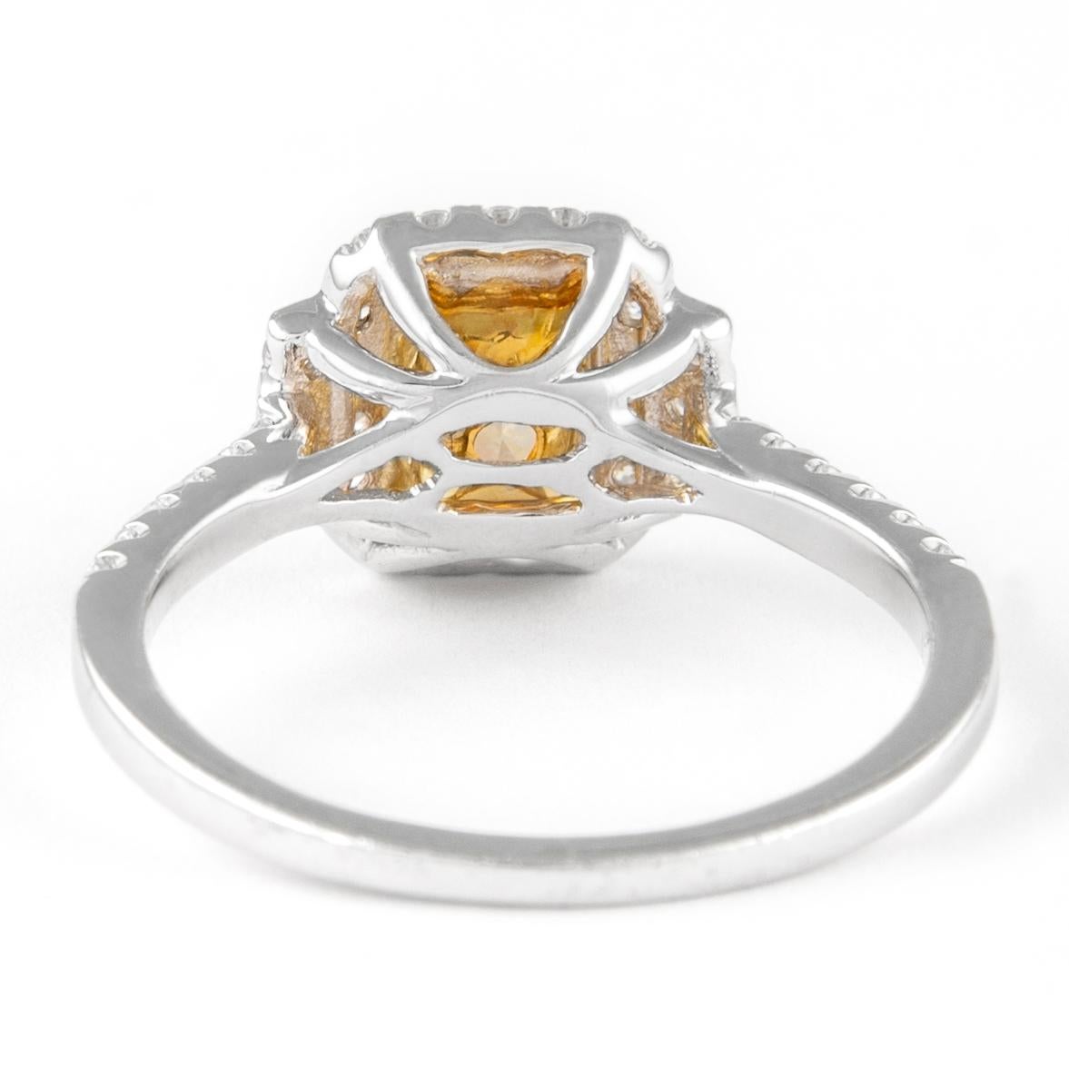 Alexander 1.39ctt Fancy Yellow VS2 Cushion Diamond with Halo Ring 18k Two Tone In New Condition For Sale In BEVERLY HILLS, CA