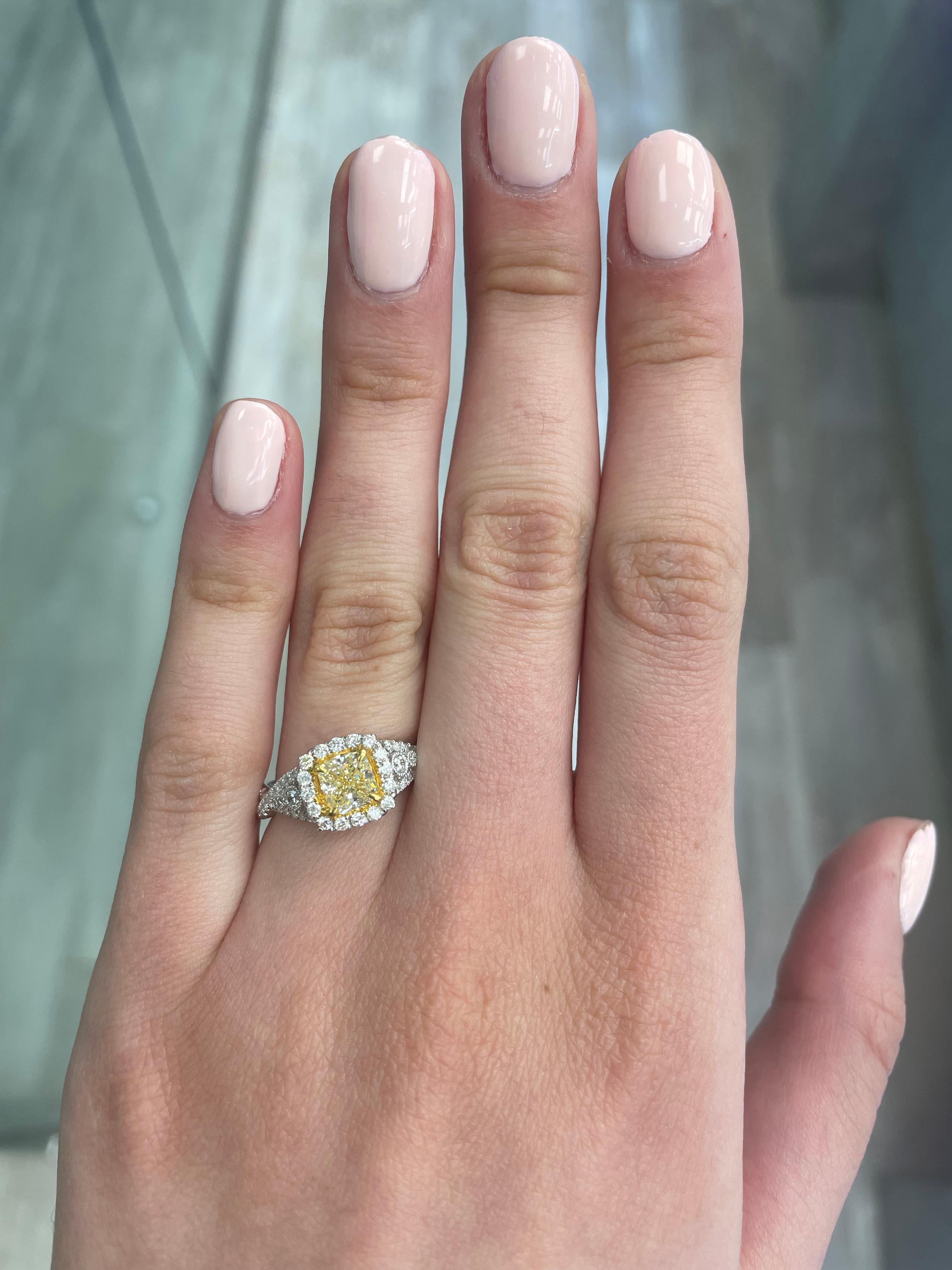 Superbe bague moderne en diamant jaune certifié EGL avec halo, en or jaune et blanc 18k bicolore. Par Alexander Beverly Hills
Poids total des diamants : 1,50 carats.
Diamant coussin de 1,01 carat de couleur Fancy Yellow et de pureté VS2, certifié