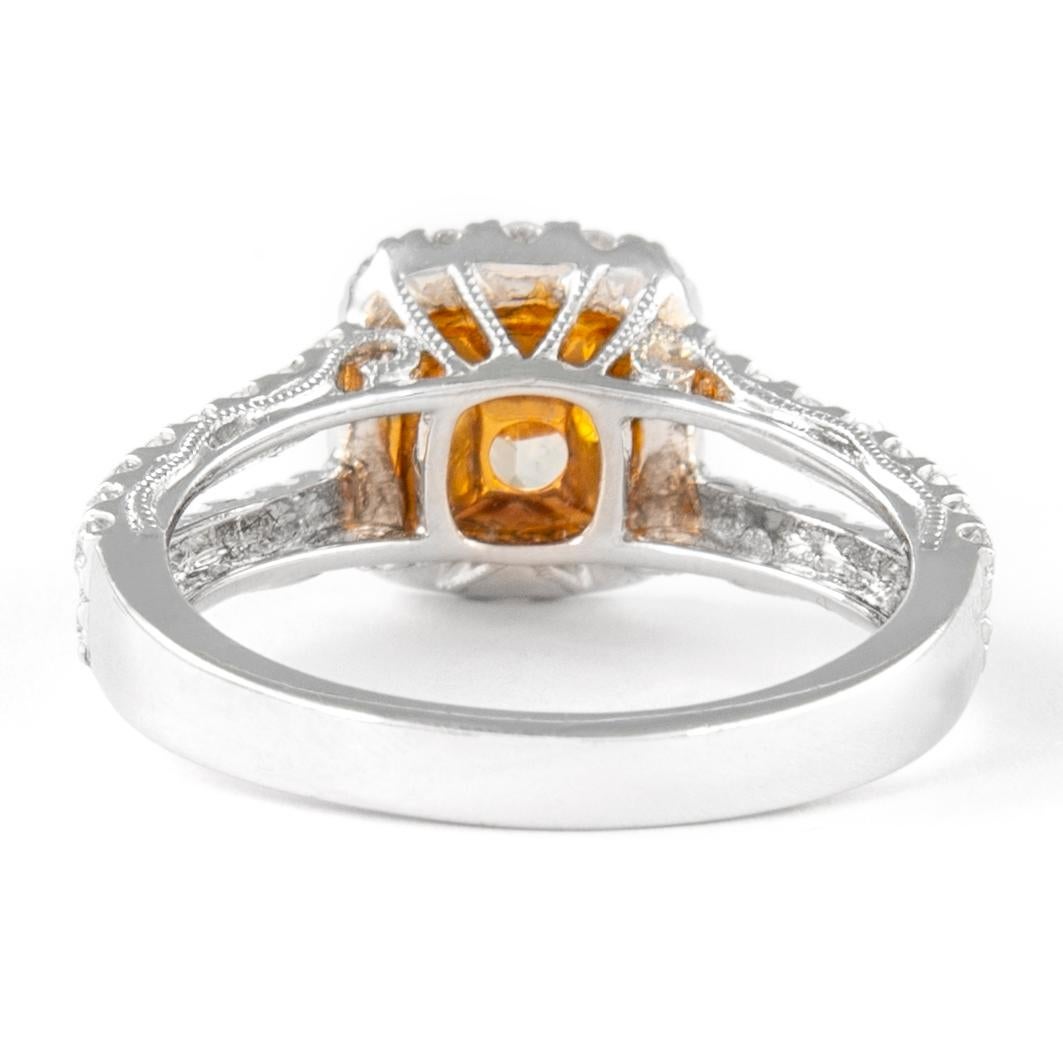 Alexander 1.74ctt Fancy Yellow Cushion Diamond with Halo Ring 18k Two Tone In New Condition For Sale In BEVERLY HILLS, CA