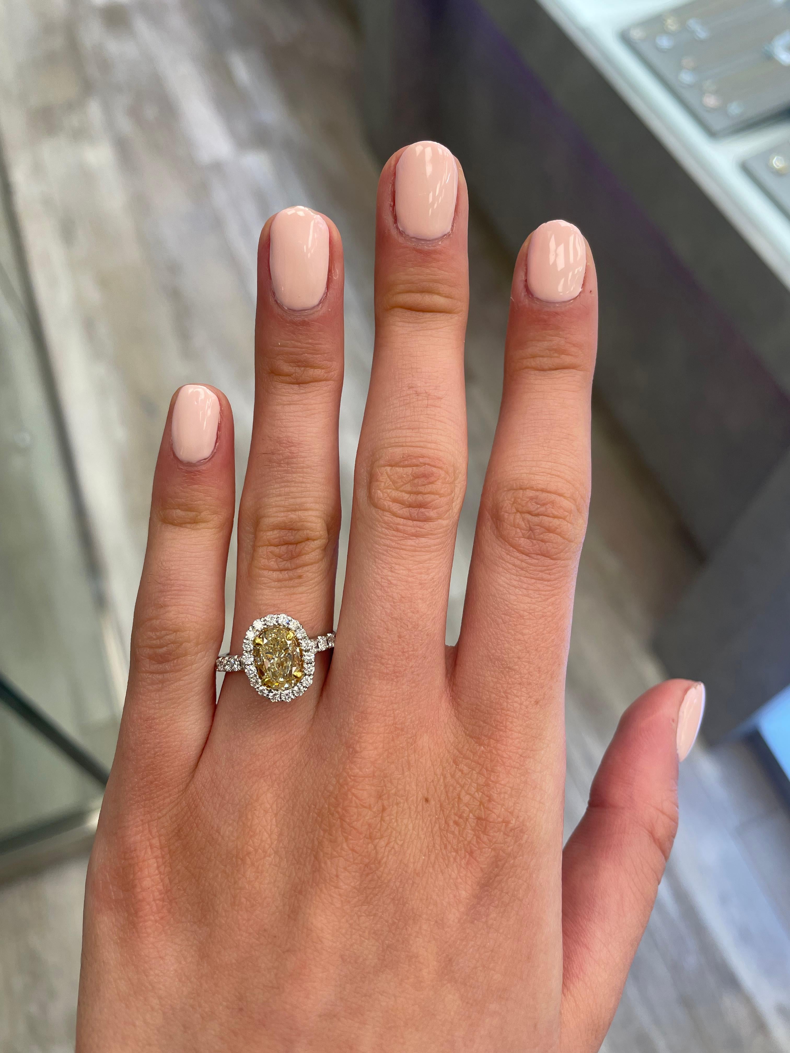 Stunning modern EGL certified yellow diamond with halo ring, two-tone 18k yellow and white gold, split shank. By Alexander Beverly Hills
2.66 carats total diamond weight.
2.05 carat cushion/oval cut Fancy Yellow color and SI1 clarity diamond, EGL
