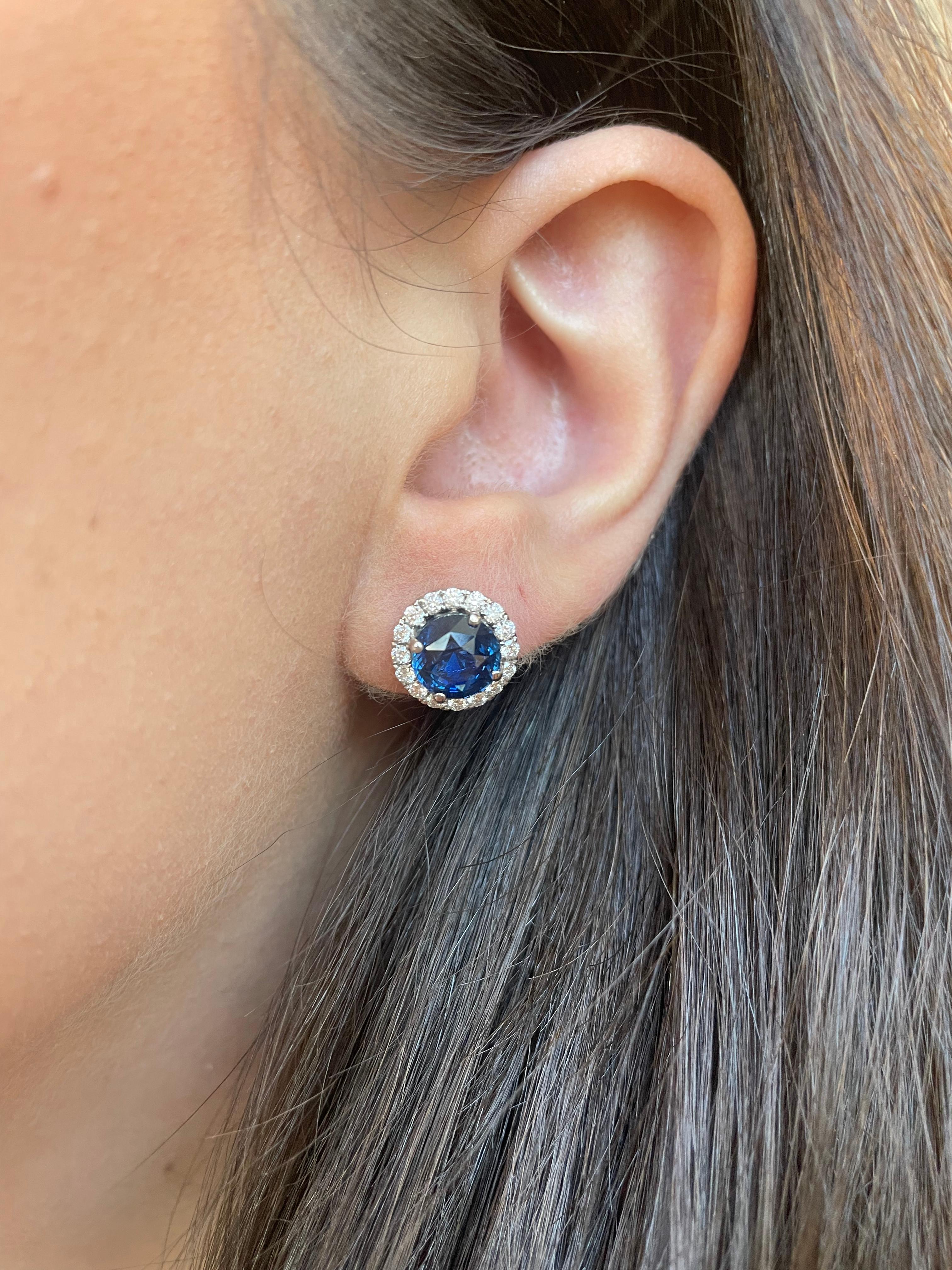 Sensational sapphire and diamond stud earrings.
2 round sapphire,  4.46 carats total. Complimented by 32 round brilliant diamonds, 0.60 carats. Approximately G/H color and SI clarity. 18k white gold, 3.92 grams. 
5.06ct total gemstone weight.