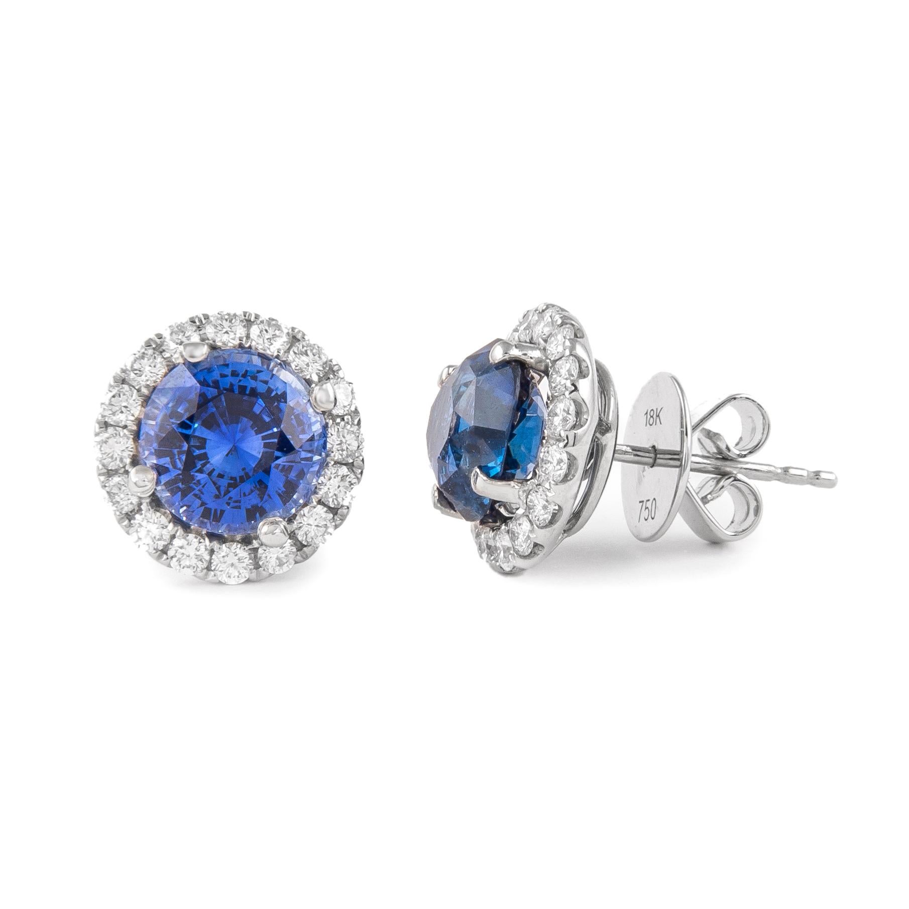 Contemporary Alexander 4.46ct Round Sapphires with Diamond Halo Earrings 18k White Gold For Sale