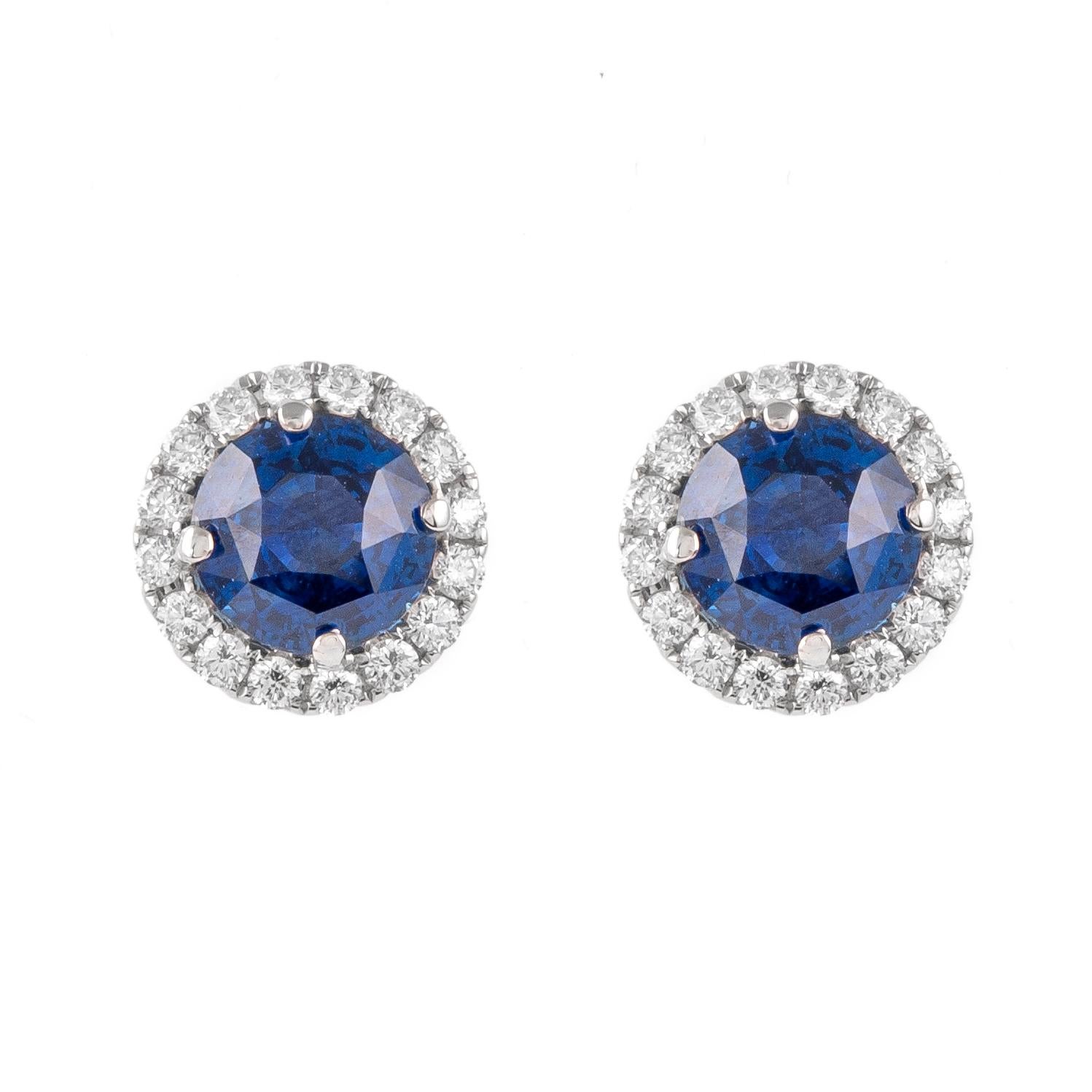 Round Cut Alexander 4.46ct Round Sapphires with Diamond Halo Earrings 18k White Gold For Sale
