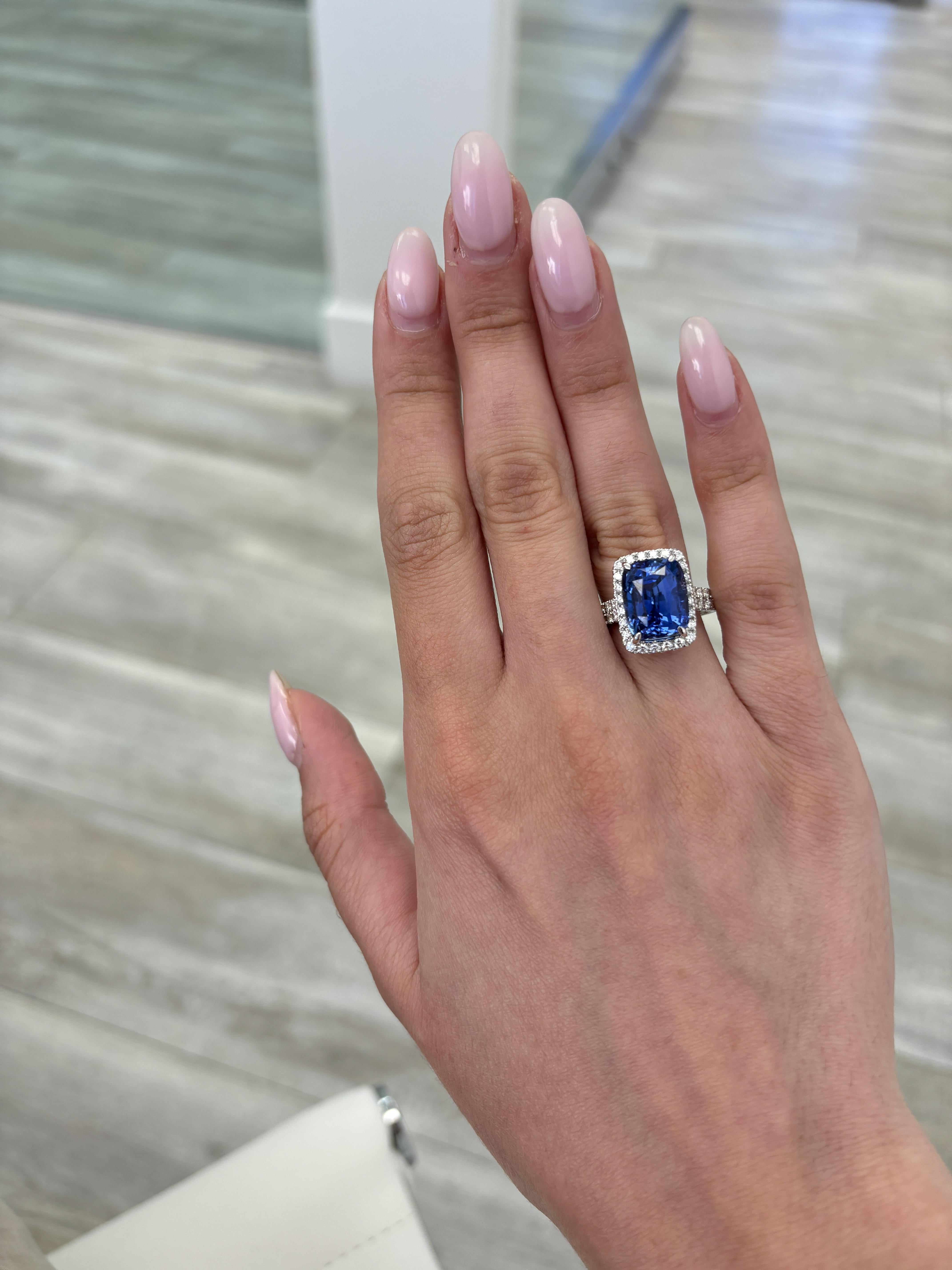 Exquisite cushion cut sapphire and diamond ring, By Alexander Beverly Hills.
11.58 carats total gemstone weight.
GIA certified 10.65 carat cushion sapphire, Sri Lanka (Ceylon) origin, No-Heat. 58 round brilliant diamonds, 0.93 carats. Approximately