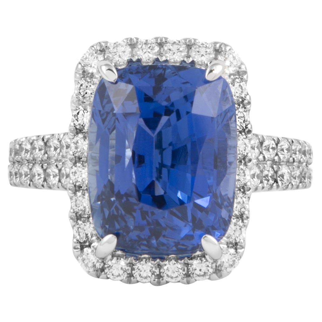 Alexander Beverly Hills, bague 18 carats avec saphir de Ceylan de 10,65 carats certifié GIA, sans chaleur
