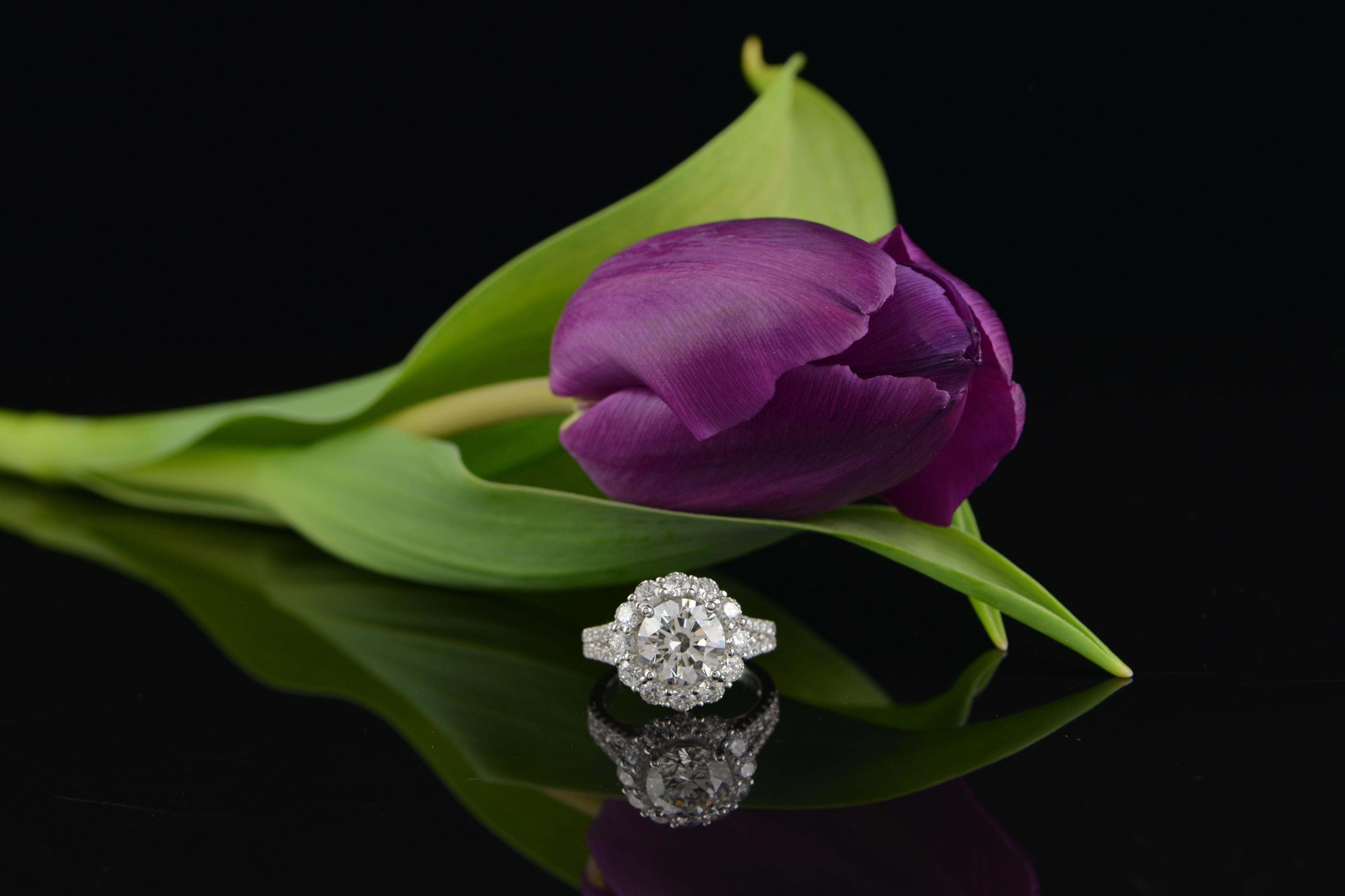 Alexander Beverly Hills GIA Diamante redondo de 2,70 ct con halo Anillo de oro blanco de 18 quilates Contemporáneo en venta