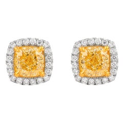 Alexander Beverly Hills GIA 3.35ct Fancy Yellow Diamond Stud Earrings 18k