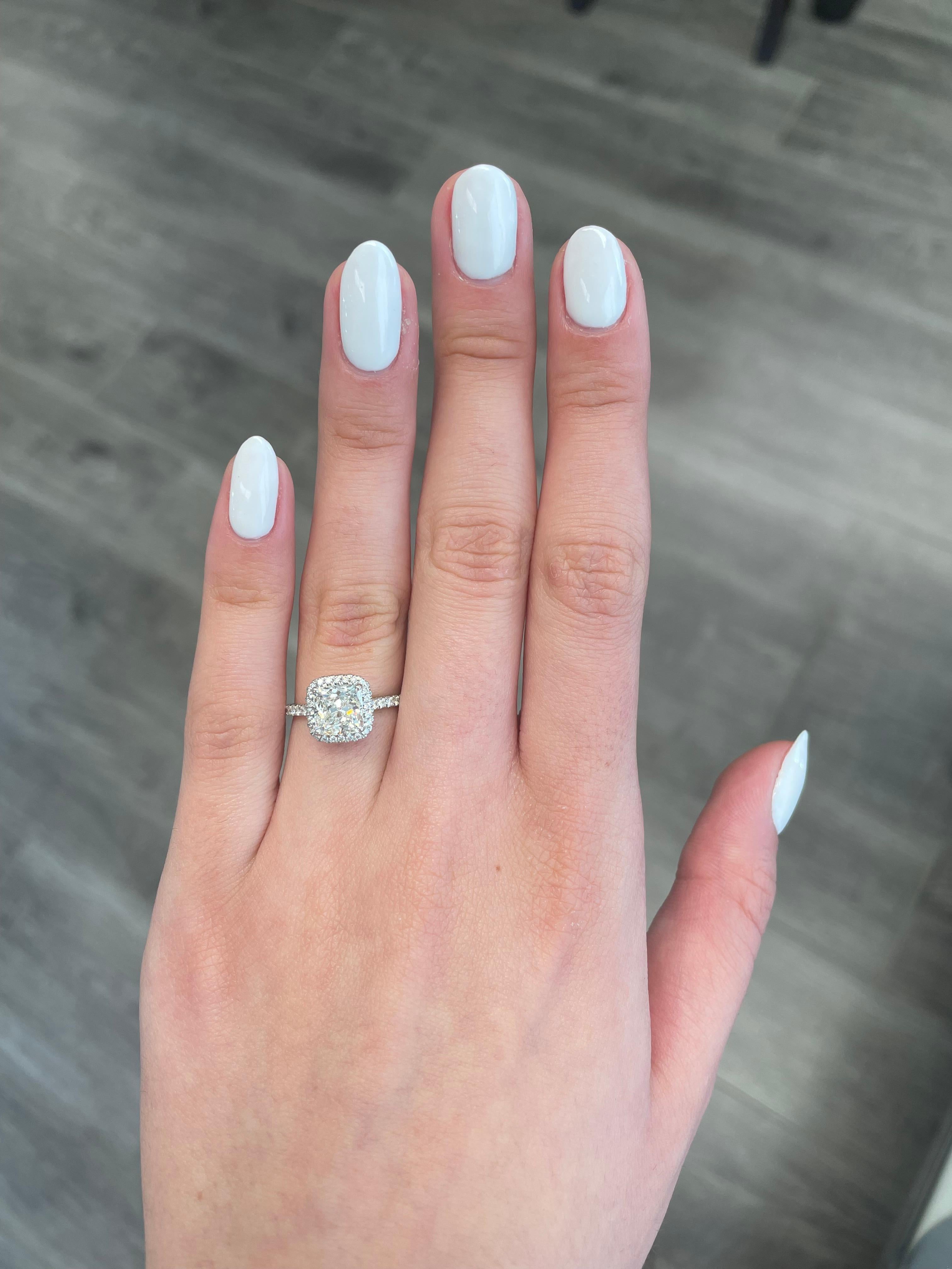 Impresionante y clásico anillo de compromiso de diamante natural con halo, certificado por el GIA. Alta joyería de Alexander Beverly Hills.
Diamante talla cojín de 1,50 ct. Grado de color I, grado de claridad VVS2, certificado GIA. Se complementa