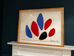 Blue, Red, and Black