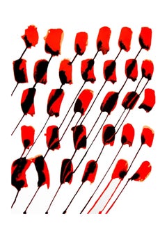 Alexander Calder 1960s Roses lithograph Derrière le miroir (Calder prints)