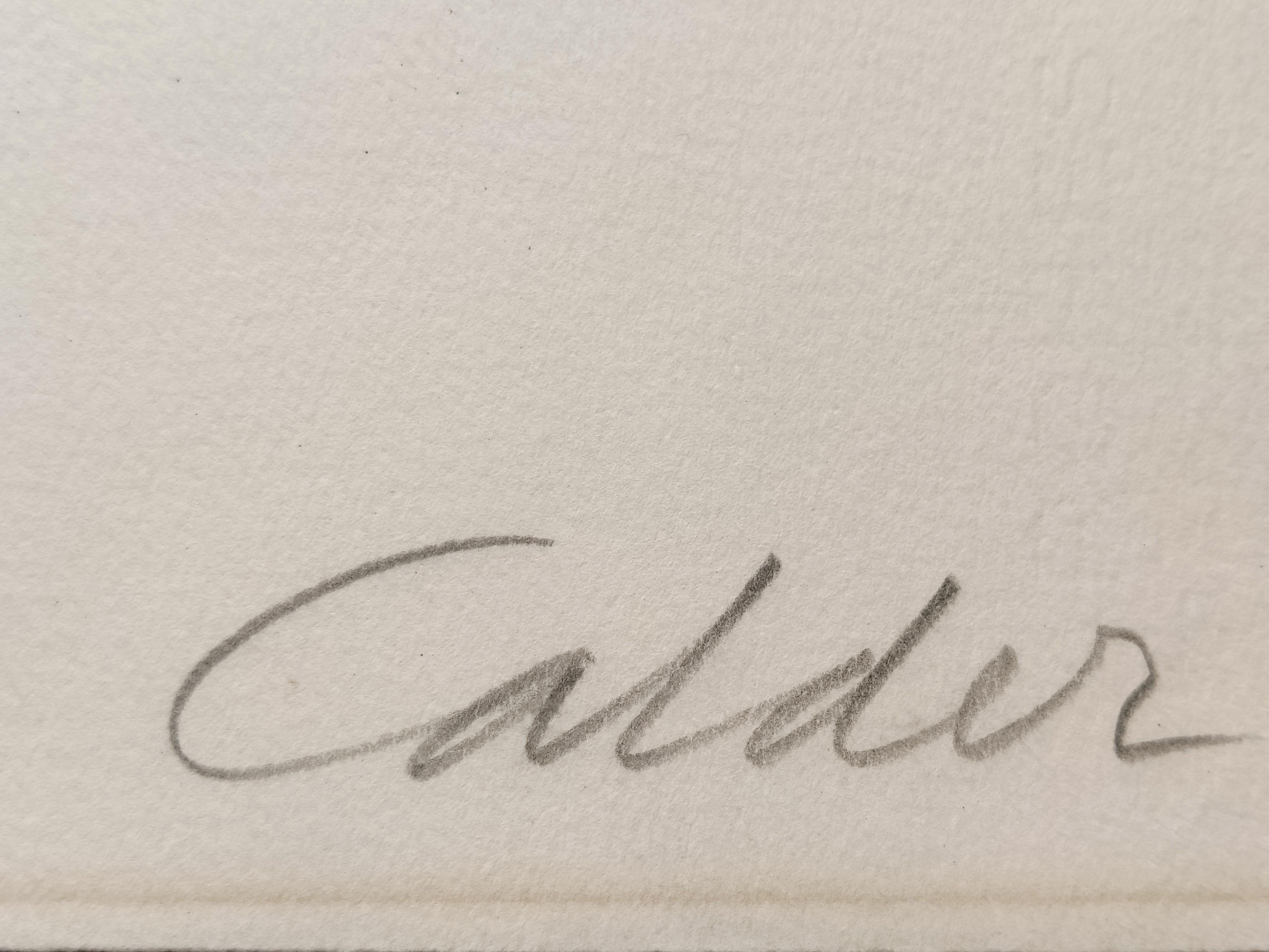 Alexander Calder -- Regen im Angebot 3
