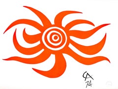 Calder, Rayo de Sol, Braniff International Airways Flying Colors (después)