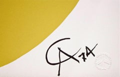 Convection (Braniff Flying Colors), 1974 Ltd Ed Lithograph, Alexander Calder