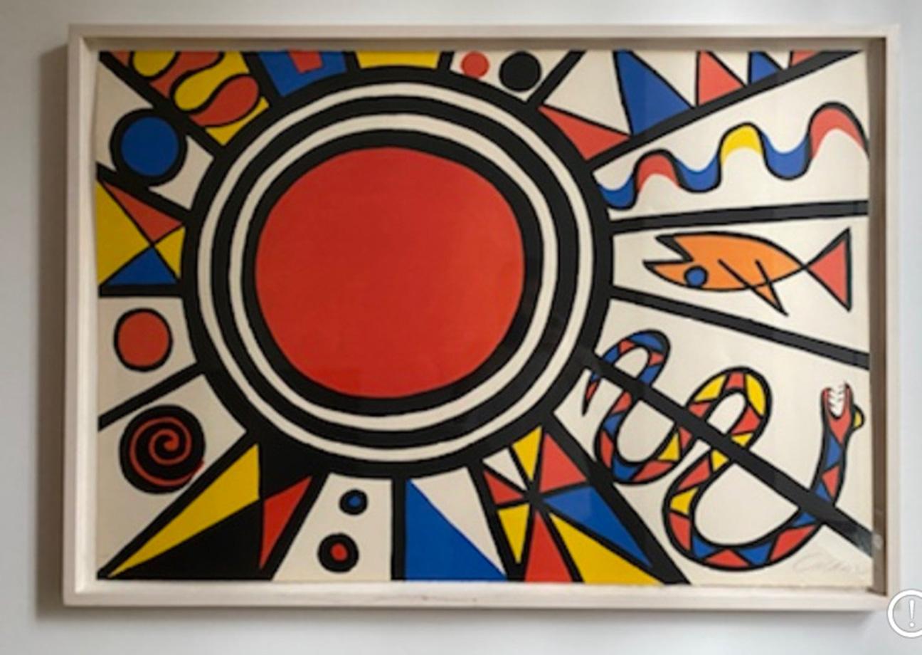 'Environment & Evolution' For Sale 1