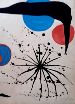 Flies of the spider web