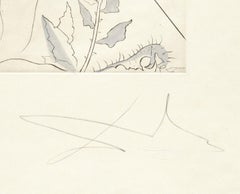 Le Nu à la Jarretière, from The Hippies