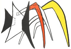 Tamanoir, Derrière le miroir