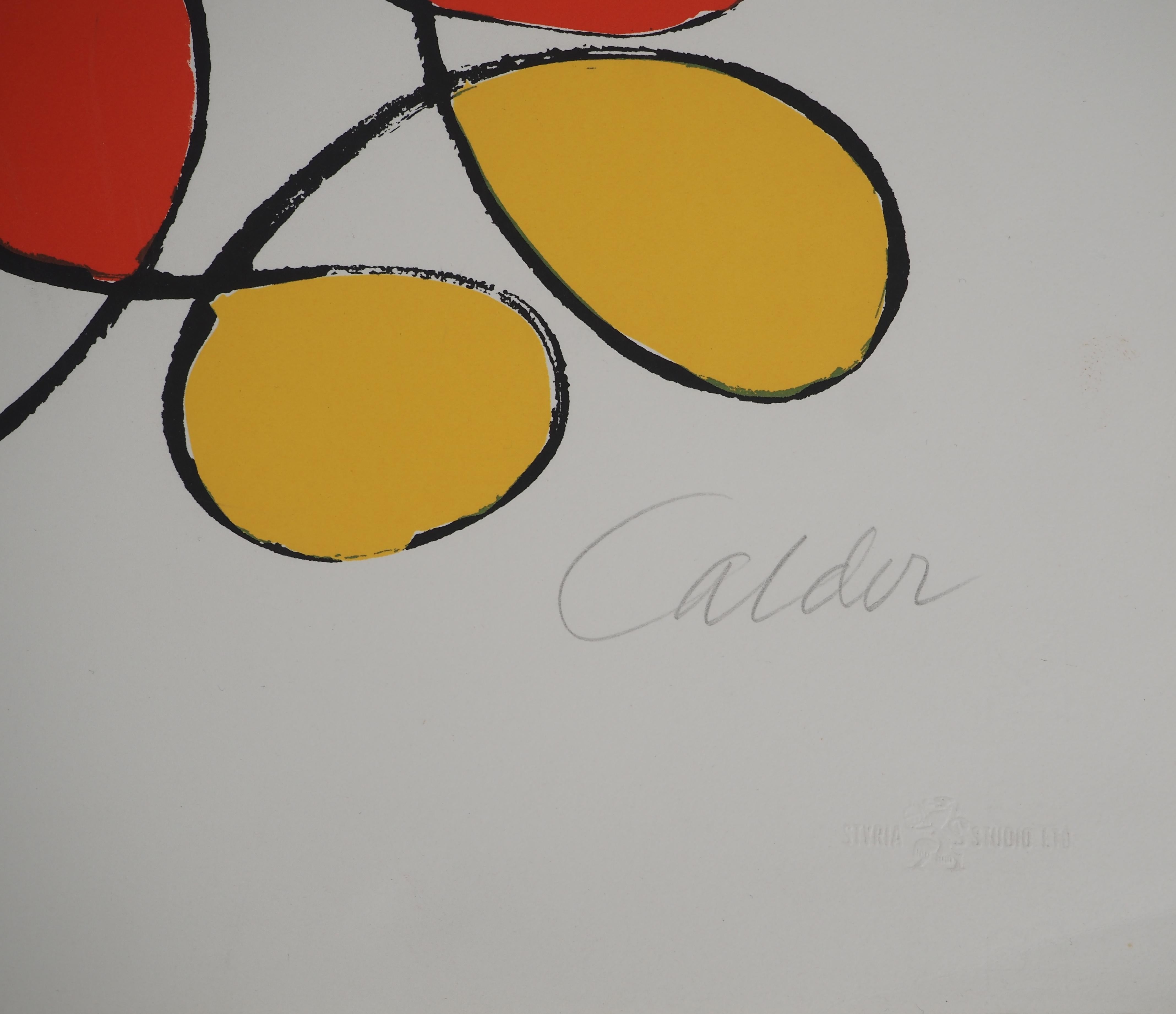 USA : McGovern for McGovernment - Original Screen Print HANDSIGNED - Gray Abstract Print by Alexander Calder