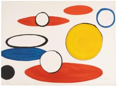 White Circles and Ellipses, from Our Unfinished Revolution