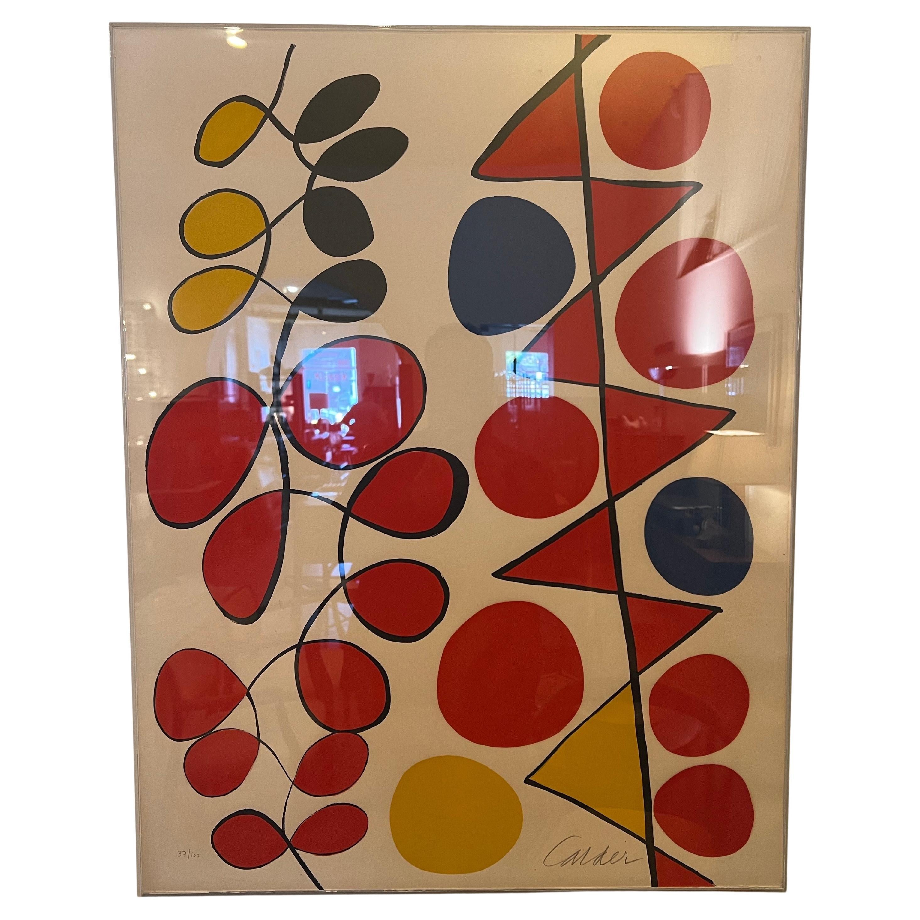  Vibrant colors 1970's pencil signed & numbered 37/100 rare and collectible Litho in plexiglass box very nice condition no fading a rare find.
