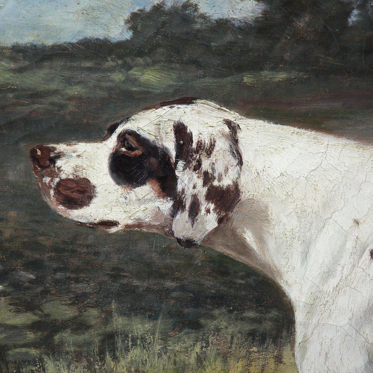 Oil On Canvas, Hunting Dog by Alexander Clarys Belgian School For Sale 2