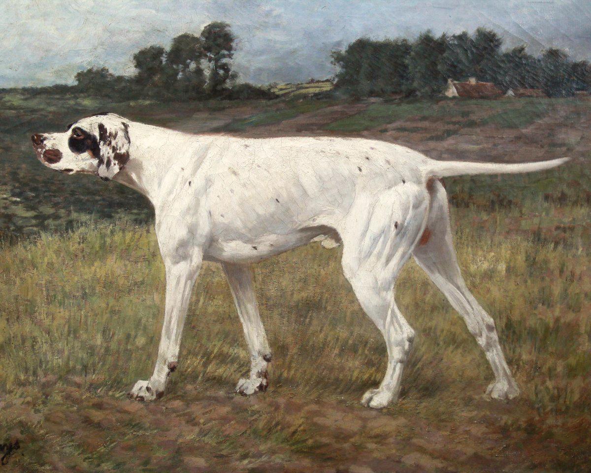 Olio su tela, Cane da caccia di Alexander Claris.A Scuola belga