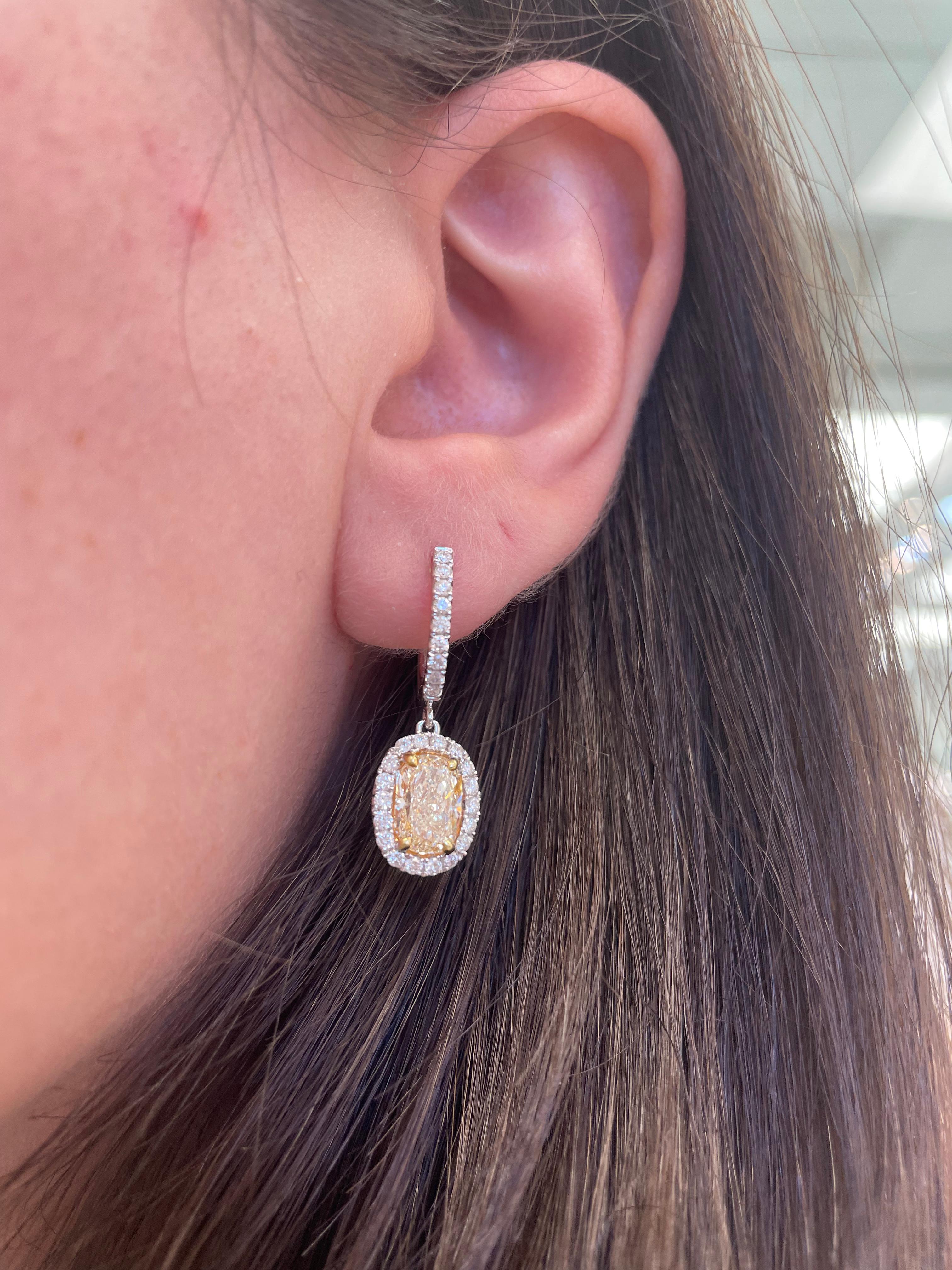 Stunning EGL certified yellow diamond and diamond halo drop earrings, by Alexander Beverly Hills.
2 cushion cut diamonds, 3.10 carats total. Fancy Yellow color grade and VS1 clarity grade. Complimented by 54 round brilliant cut diamonds, 0.66