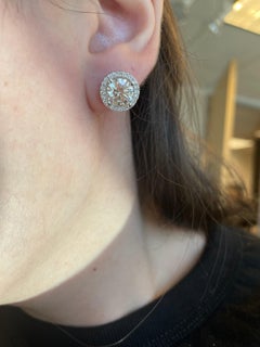 Alexander - Boucles d'oreilles or 18k certifiées EGL - 4,82 carats de diamant avec halo