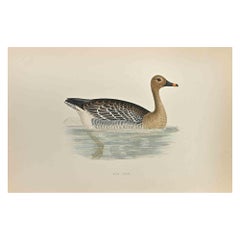 Bean Coose - Woodcut Print by Alexander Francis Lydon  - 1870
