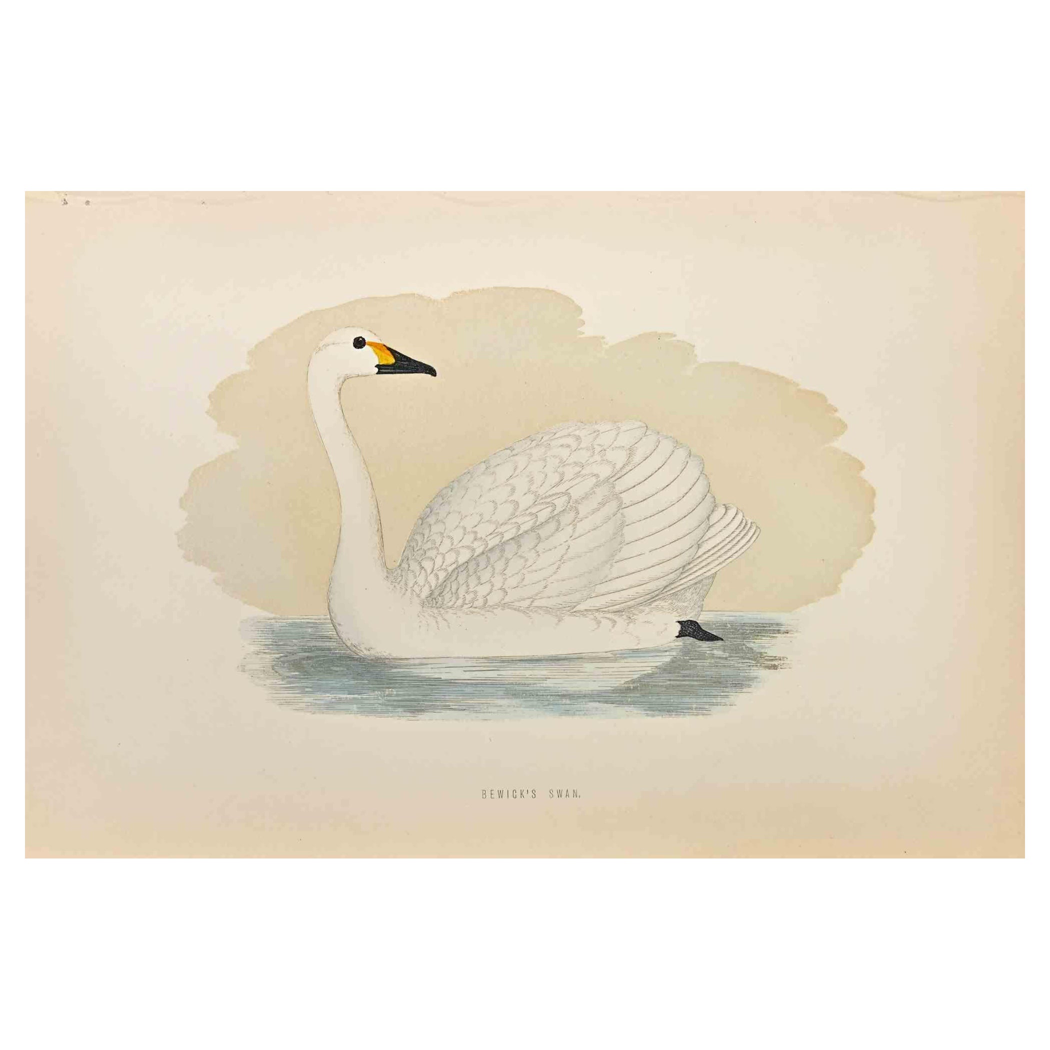  Le cygne de Bewick est une œuvre d'art moderne réalisée en 1870 par l'artiste britannique Alexander Francis Lydon (1836-1917) . 

Gravure sur bois, colorée à la main, publiée par London, Bell & Sons, 1870.  Nom de l'oiseau imprimé dans la plaque.