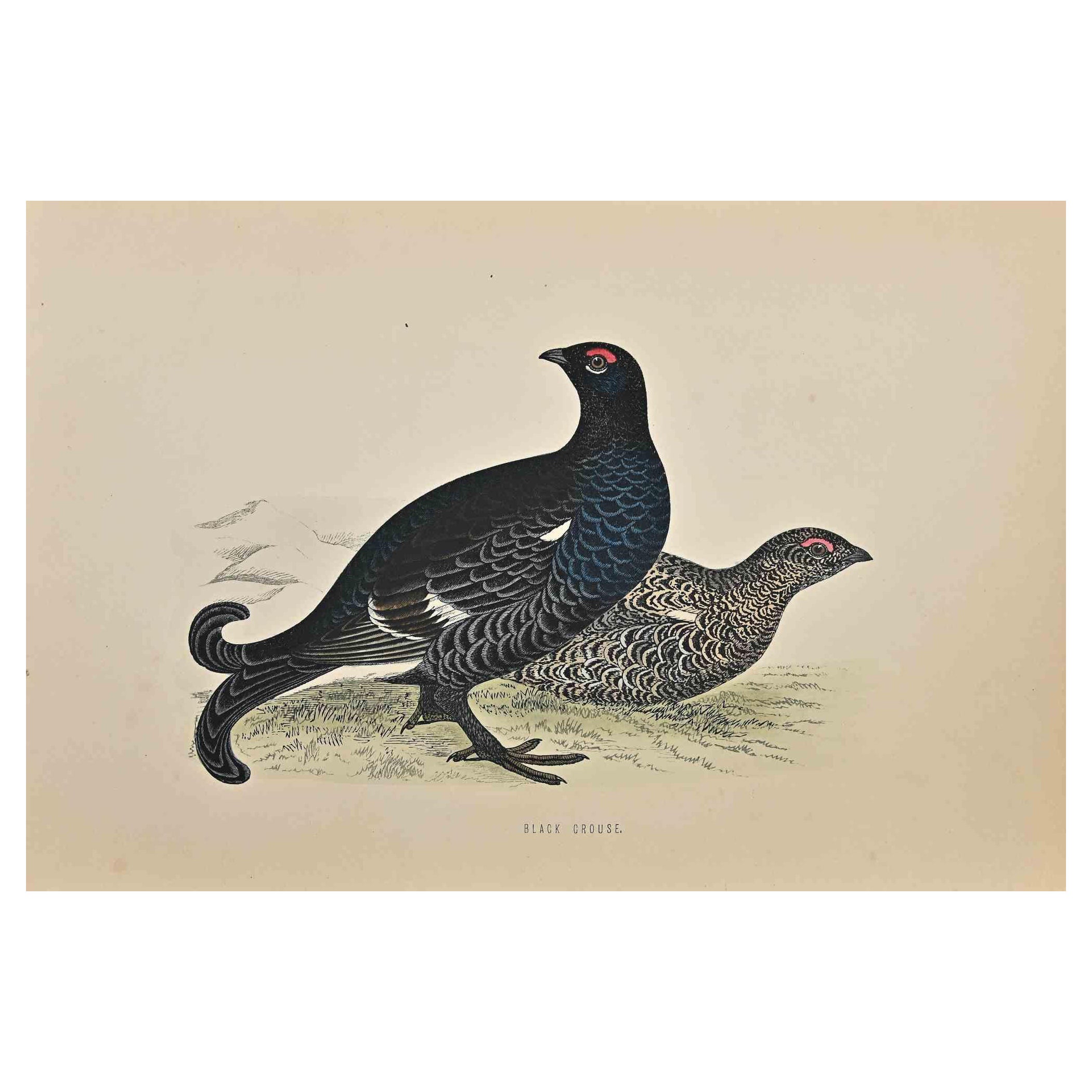  Black Grouse est une œuvre d'art moderne réalisée en 1870 par l'artiste britannique Alexander Francis Lydon (1836-1917) . 

Gravure sur bois, coloriée à la main, publiée par London, Bell & Sons, 1870.  Nom de l'oiseau imprimé sur la plaque. Cette