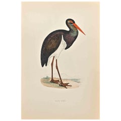Black Stork- Woodcut Print by Alexander Francis Lydon  - 1870
