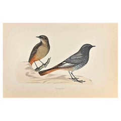 Blackstart - Woodcut Print by Alexander Francis Lydon  - 1870