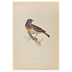 Bluebreast - Woodcut Print by Alexander Francis Lydon  - 1870