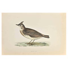 Crested Lark - Woodcut Print by Alexander Francis Lydon  - 1870