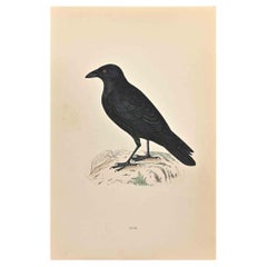 Crow - Impression sur bois d
Alexander Francis Lydon  - 1870
