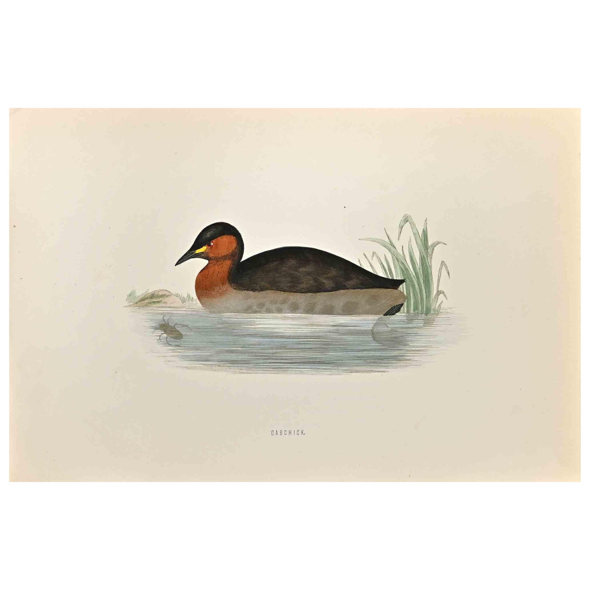 Dabchick es una obra de arte moderno realizada en 1870 por el artista británico Alexander Francis Lydon (1836-1917).

Grabado xilográfico sobre papel de color marfil.

Coloreado a mano, publicado por London, Bell & Sons, 1870.  

El nombre del ave