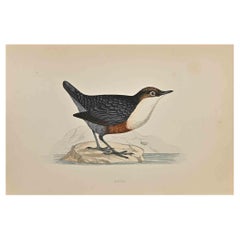 Cazo - Grabado xilográfico de Alexander Francis Lydon  - 1870