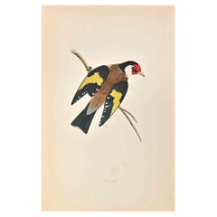 Goldfingh - Stampa xilografica di Alexander Francis Lydon  - 1870