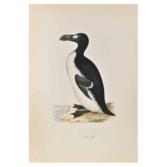 Great Auk - Woodcut Print by Alexander Francis Lydon  - 1870