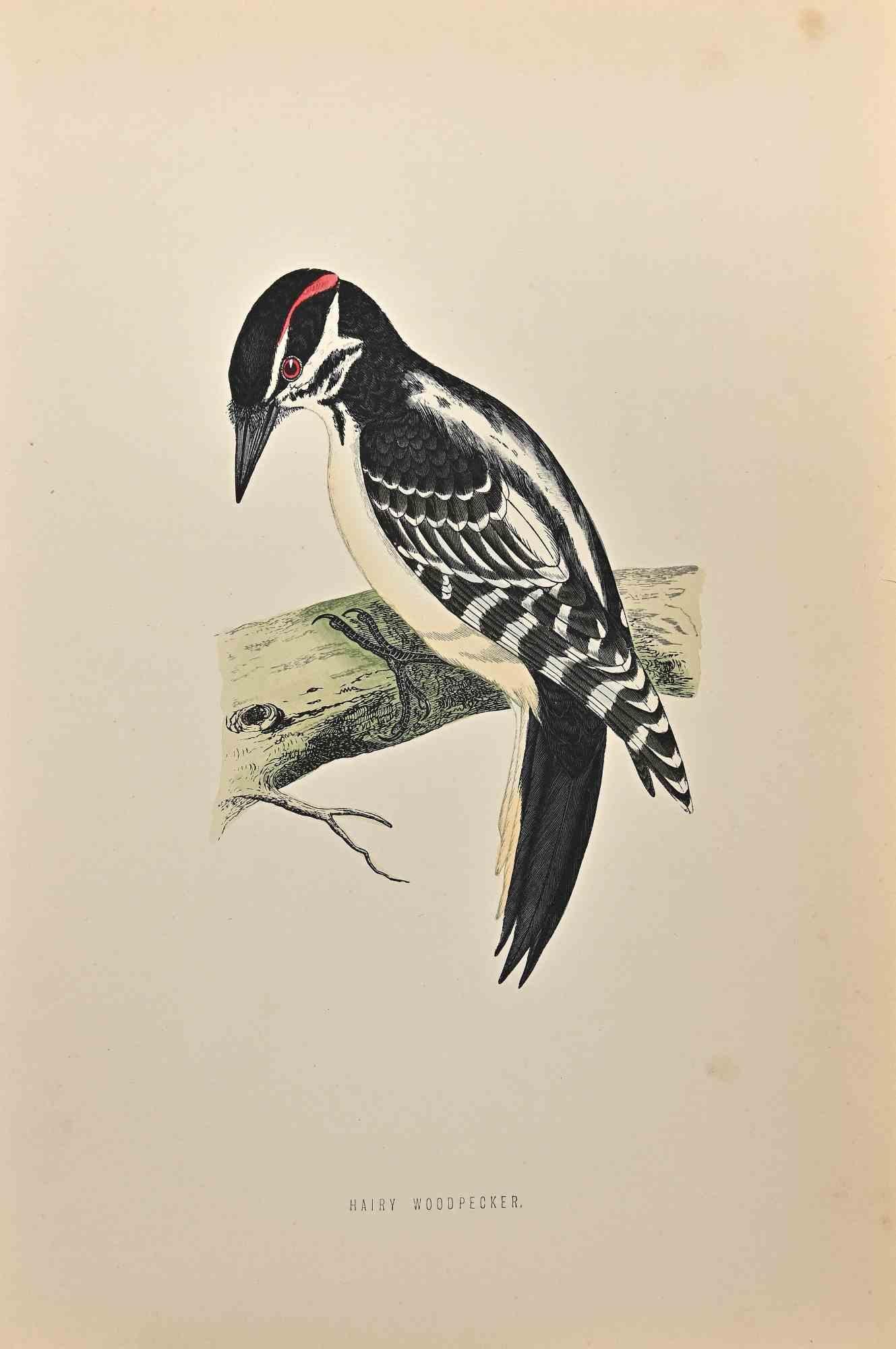 Picture of Meet the Graphic Designer ! Hi... - Hairy Frog Grafix | Facebook