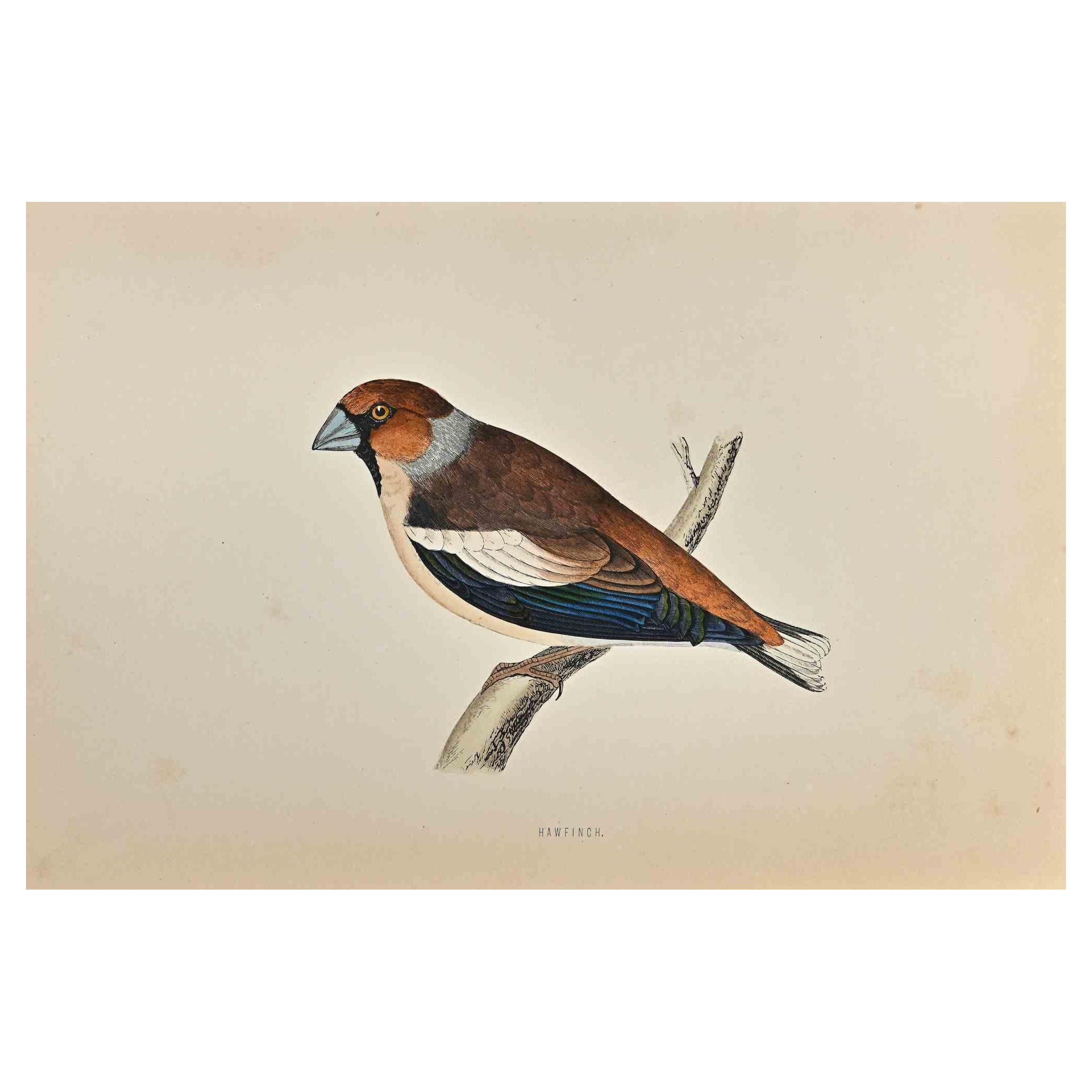 Bouvreuil  est une œuvre d'art moderne réalisée en 1870 par l'artiste britannique Alexander Francis Lydon (1836-1917) . 

Gravure sur bois, colorée à la main, publiée par London, Bell & Sons, 1870.  Nom de l'oiseau imprimé dans la plaque. Cette