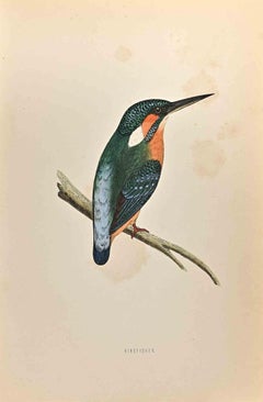Kingfisher - Woodcut Print by Alexander Francis Lydon  - 1870