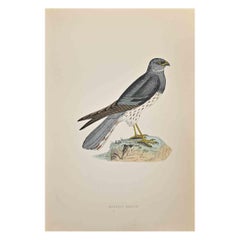 Montacu's Harrier – Holzschnittdruck von Alexander Francis Lydon  - 1870