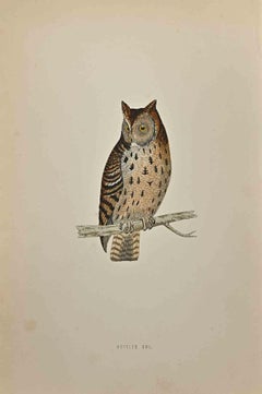 Mottled Owl - Woodcut Print by Alexander Francis Lydon  - 1870