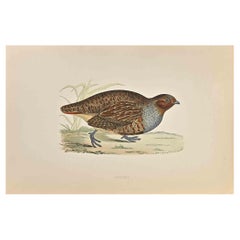 Patridge - Woodcut Print by Alexander Francis Lydon  - 1870